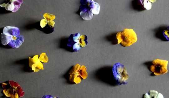 POIESIS Blog - Page #5