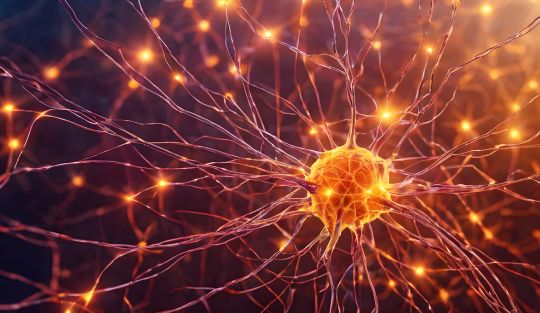 PULSAO_EMOCAO-NV Nosso Blog