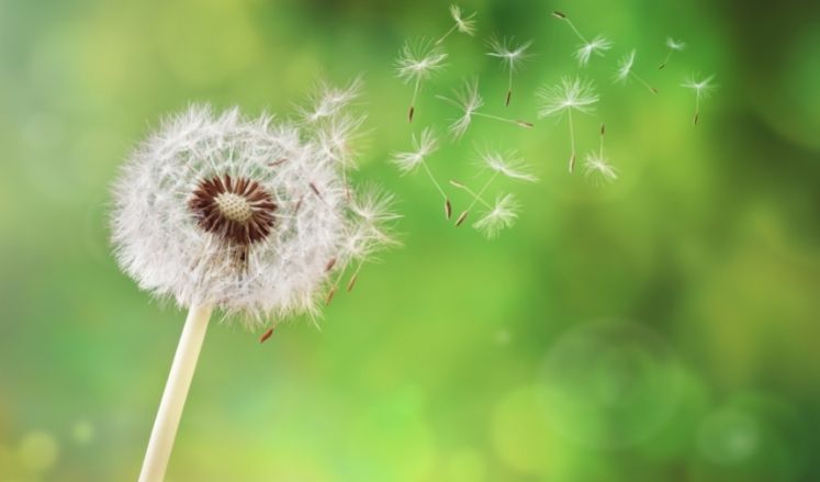 Coloquio%20-%20A%20analise%20pessoal%20na%20formacao%20do%20analista%20com%20o%20psicanalista Aconteceu! - Page #6