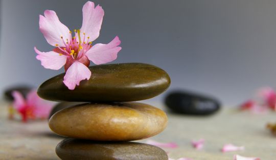 Curso%20Breve%20-%20O%20caso%20Dora Aconteceu! - Page #9