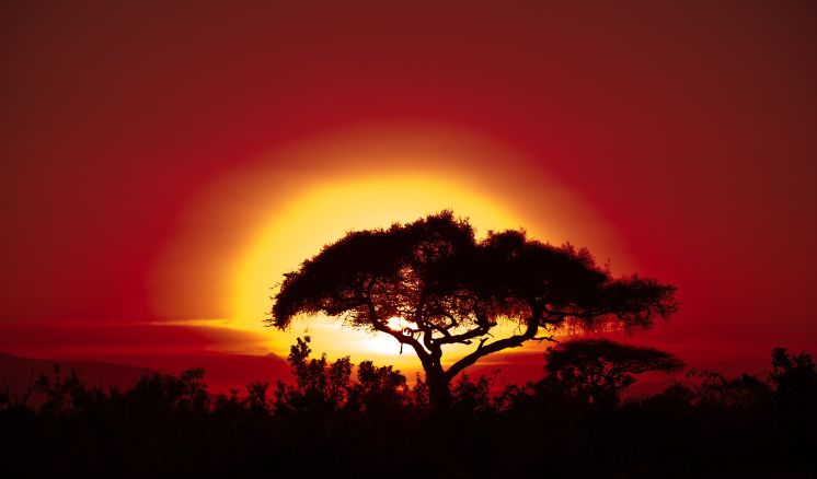 Evento%20-%20Minha%20vida%20na%20Africa Aconteceu! - Page #4