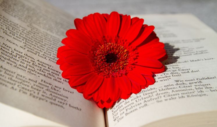 Evento%20-%20O%20idioma%20de%20Clarice%20-%20cartografia%20de%20desentendimentos Aconteceu! - Page #6