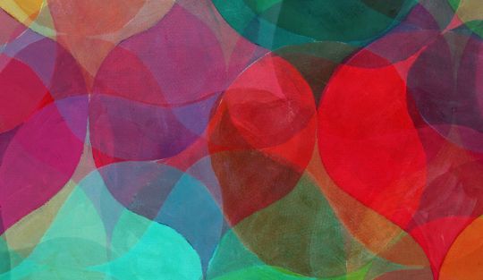 Webnario%20-%20O%20caso%20Dora Blog - Page #29