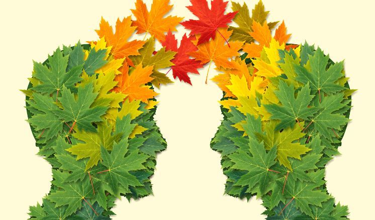 Webnario%20-%20O%20que%20e%20Transferencia Aconteceu! - Page #9