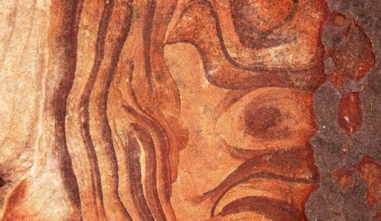 Webnario%20-%20Os%20Tres%20Ensaios%20da%20Sexualidade Blog - Page #29