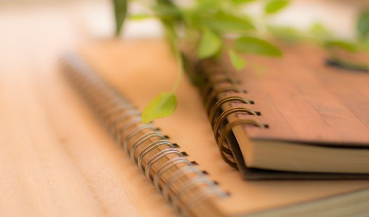 X%20Jornada%20da%20EPP%20e%20do%20Instituto%20Ekatus%20-%20Clariceando Aconteceu! - Page #7